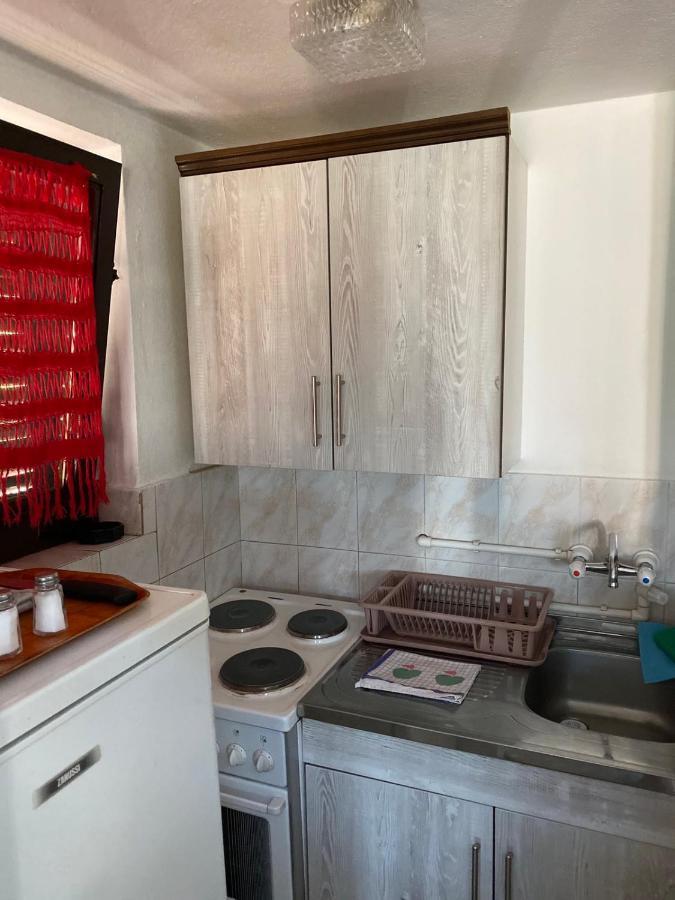 Apartmani Nini Vlasina Vlasina Rid Esterno foto