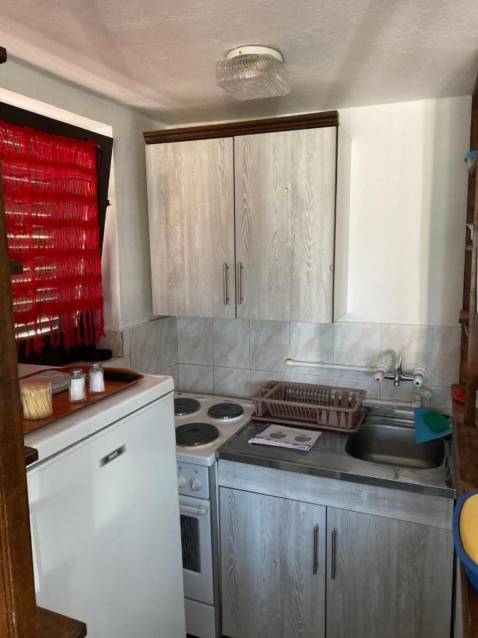 Apartmani Nini Vlasina Vlasina Rid Esterno foto