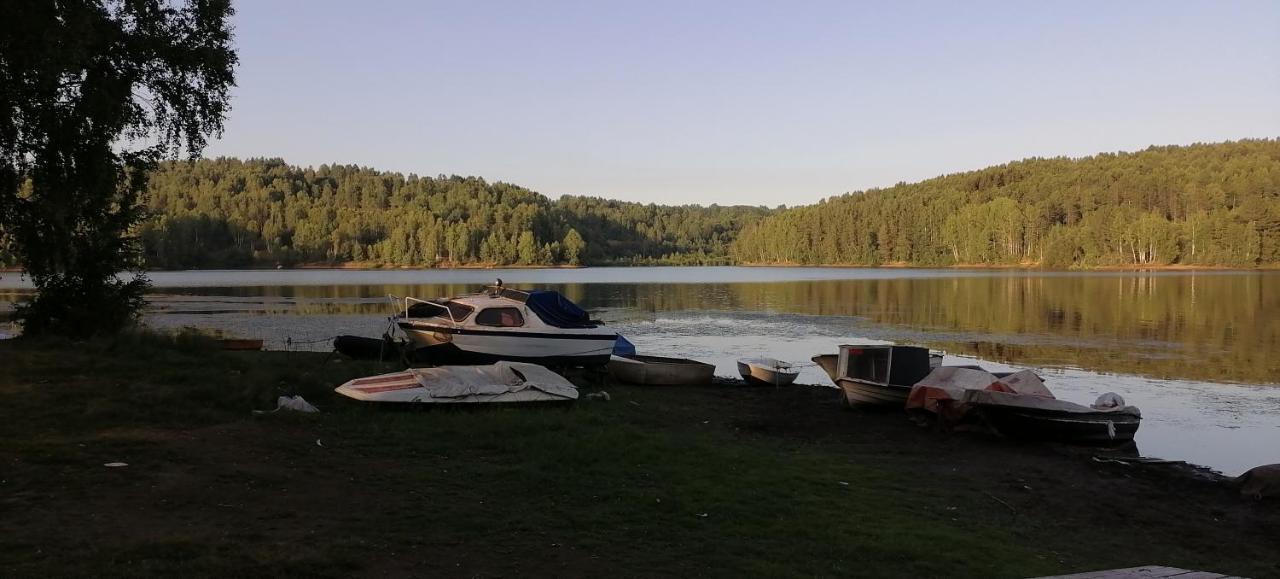 Apartmani Nini Vlasina Vlasina Rid Esterno foto