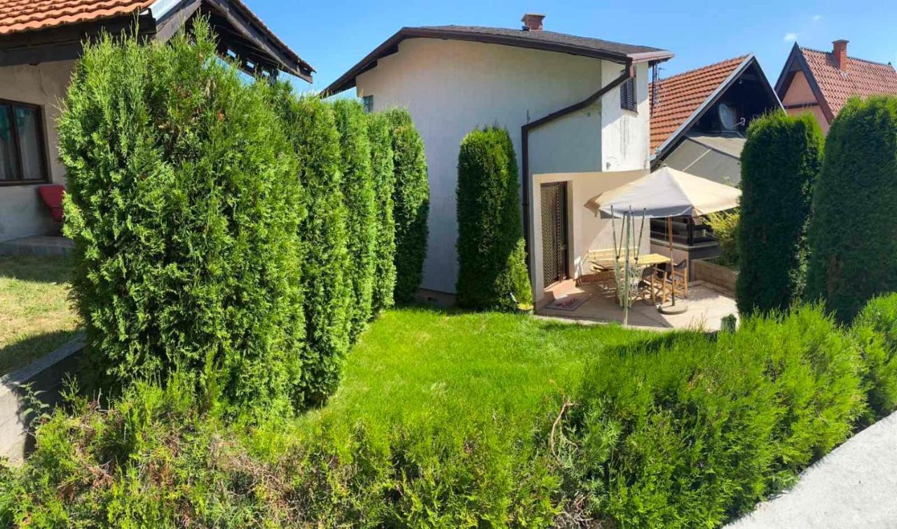 Apartmani Nini Vlasina Vlasina Rid Esterno foto