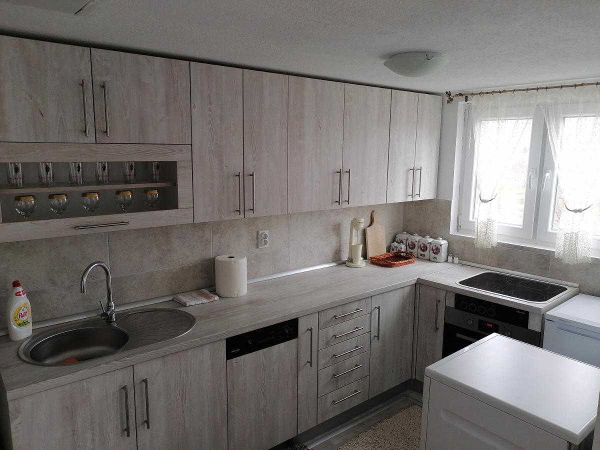 Apartmani Nini Vlasina Vlasina Rid Esterno foto