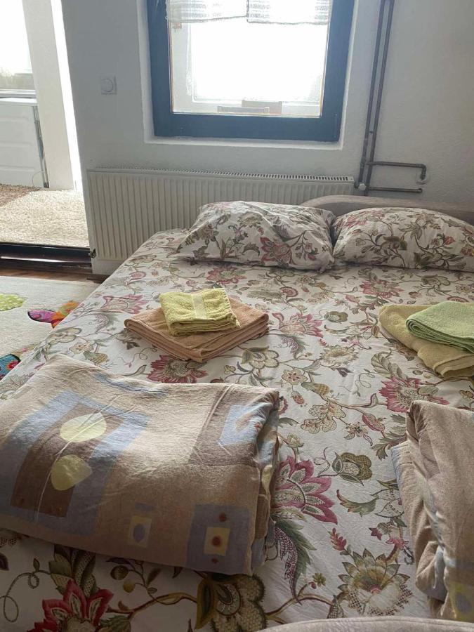 Apartmani Nini Vlasina Vlasina Rid Esterno foto