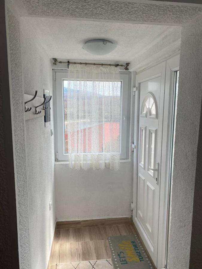 Apartmani Nini Vlasina Vlasina Rid Esterno foto