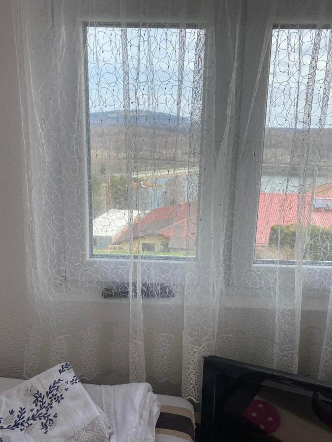 Apartmani Nini Vlasina Vlasina Rid Esterno foto