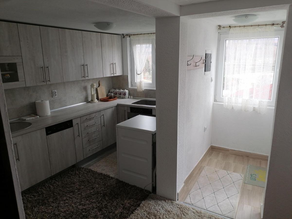 Apartmani Nini Vlasina Vlasina Rid Esterno foto