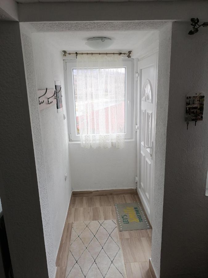 Apartmani Nini Vlasina Vlasina Rid Esterno foto